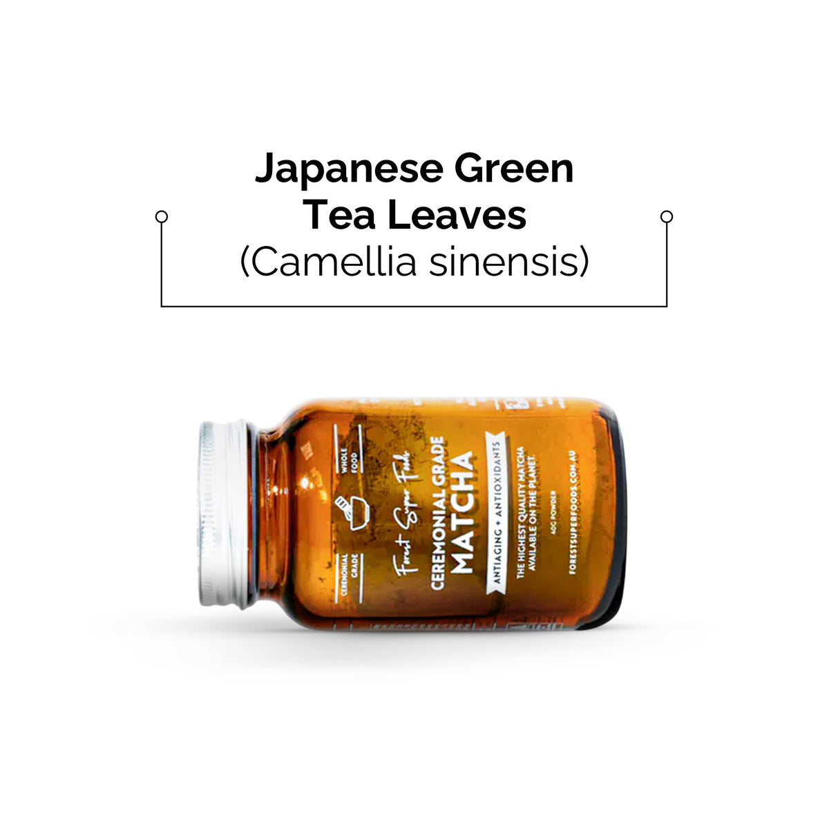 Ceremonial Grade Matcha Green Tea Leaf jar with fine powder for vibrant color and calm focus rich in zinc and vitamin C