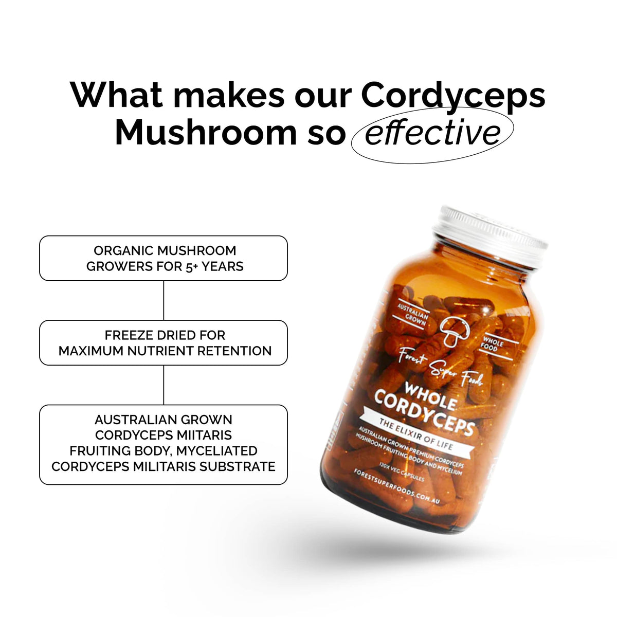 Australian Grown Cordyceps Mushroom bottle with freeze-dried whole mushroom capsules by Forest Super Foods