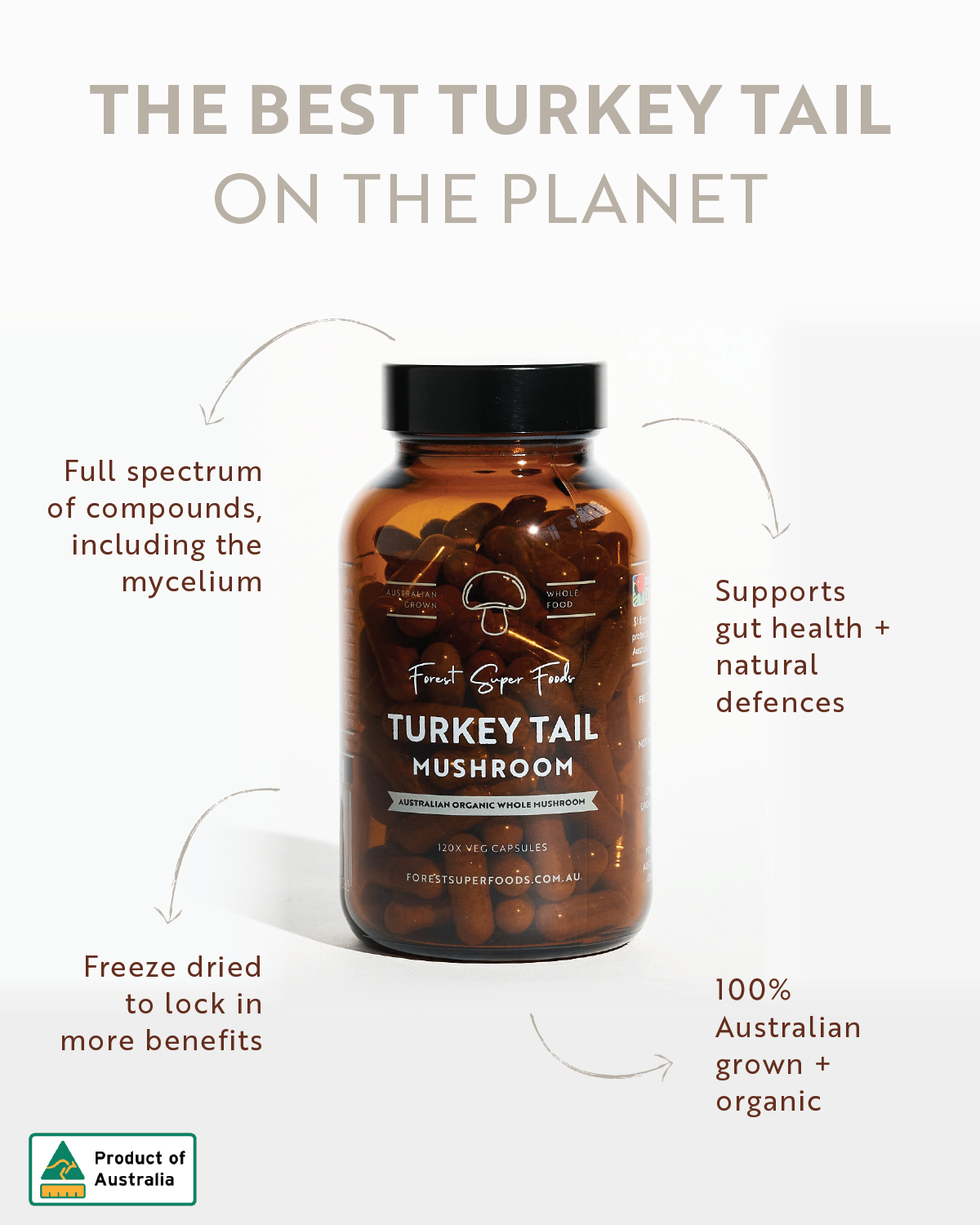 Australian Grown Turkey Tail Capsules