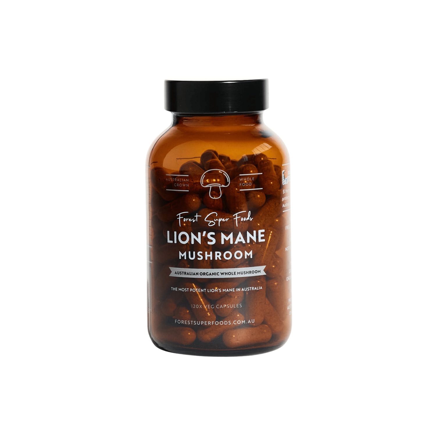 Premium Quality Lion's Mane Mushroom for Brain Health and Focus