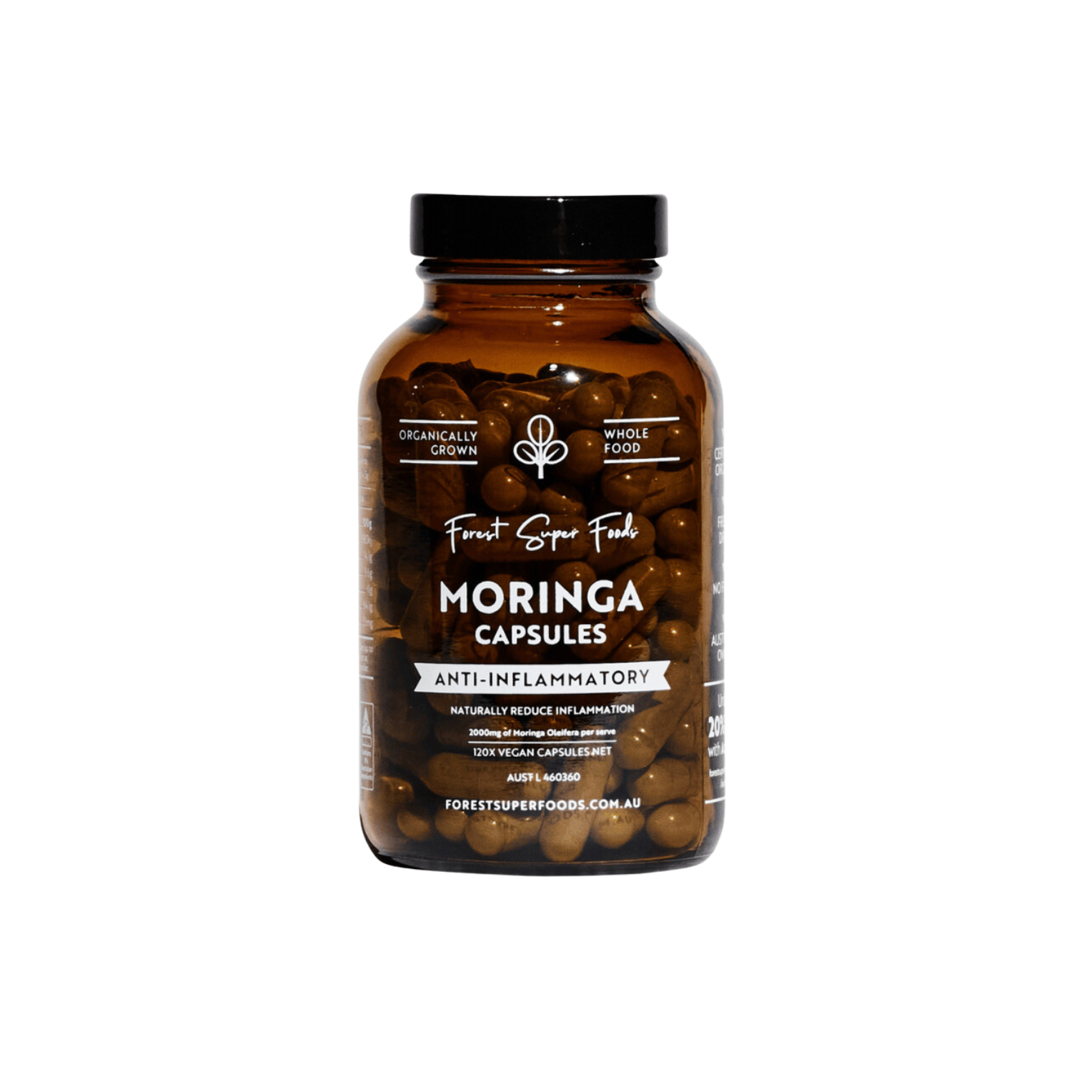 Moringa capsules made from nutrient-rich moringa powder, sourced from the moringa tree.