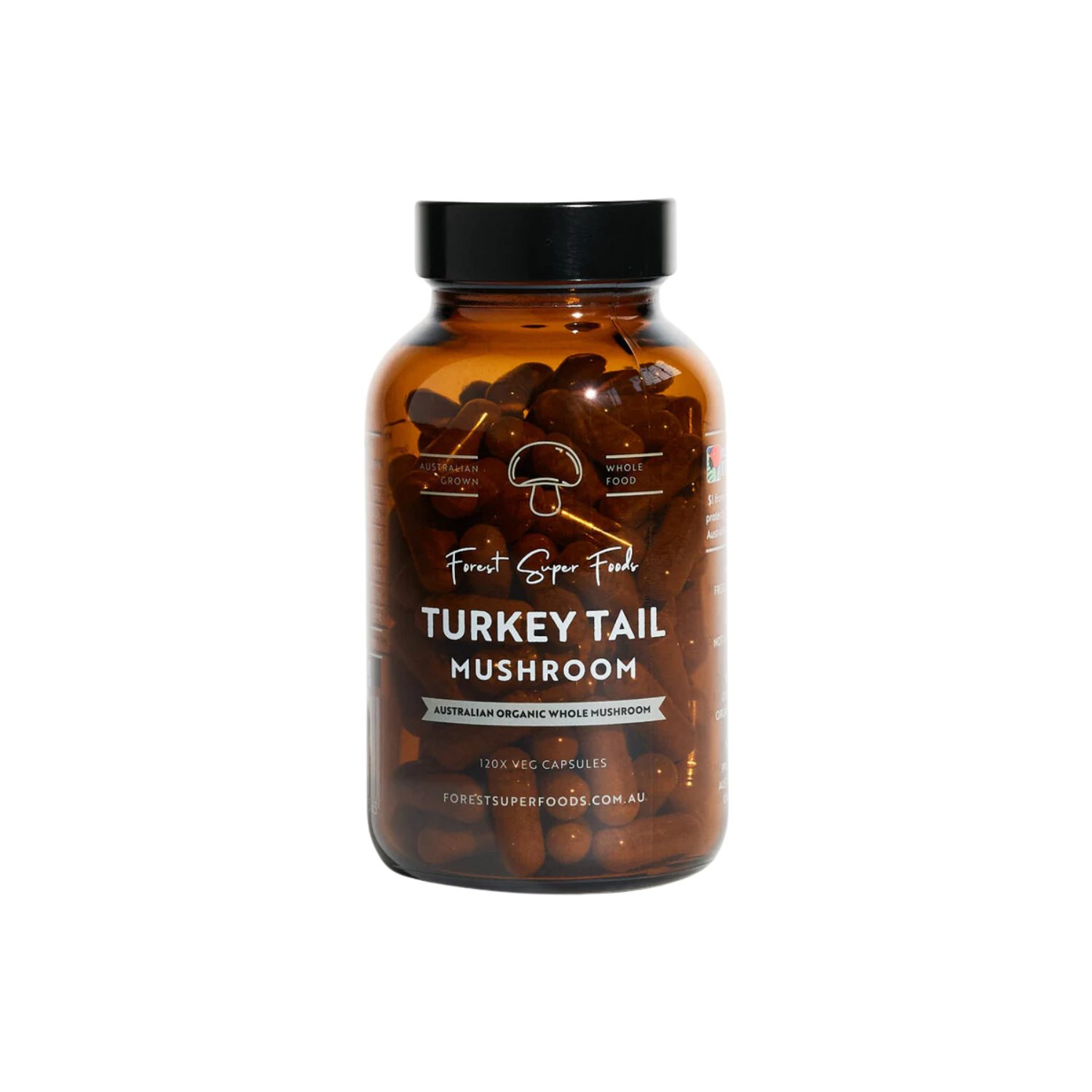 Turkey Tail Capsules – Best Mushroom Supplements in Australia for Natural Health Benefits