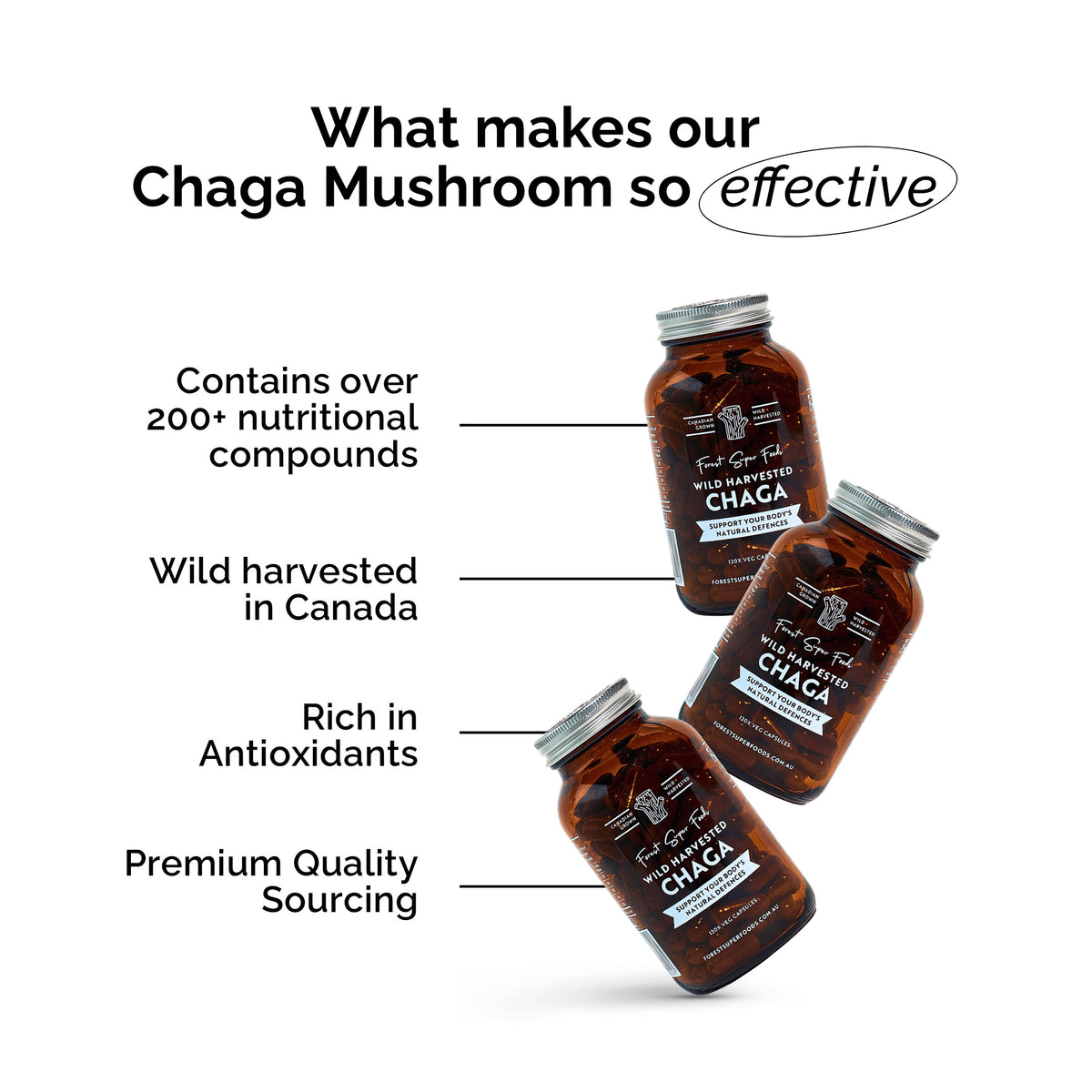 Wild Chaga Mushroom (Canada) bottles showcasing premium quality, antioxidant rich, wild harvested with 200+ compounds