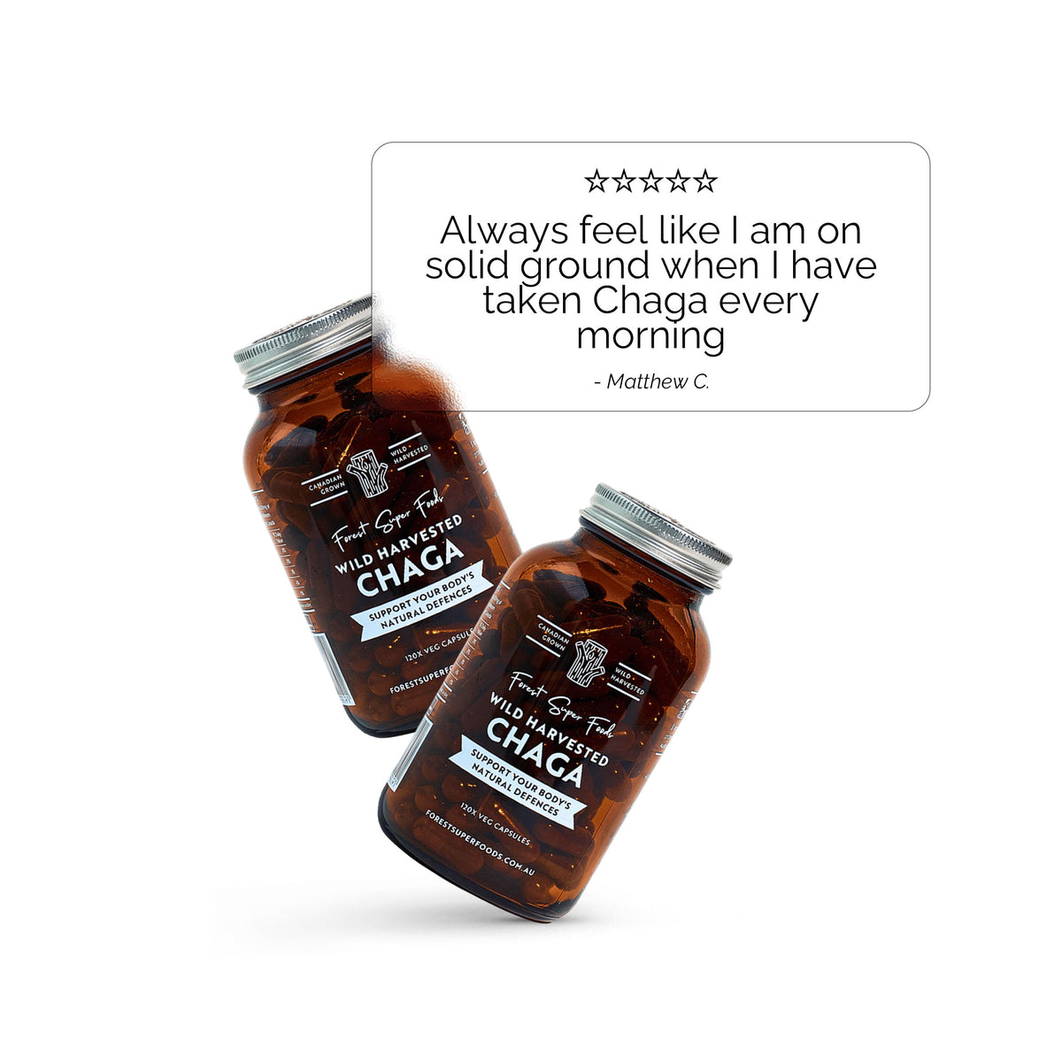 Wild Chaga Mushroom (Canada) amber bottles with natural immune and antioxidant support from wild harvested whole mushrooms