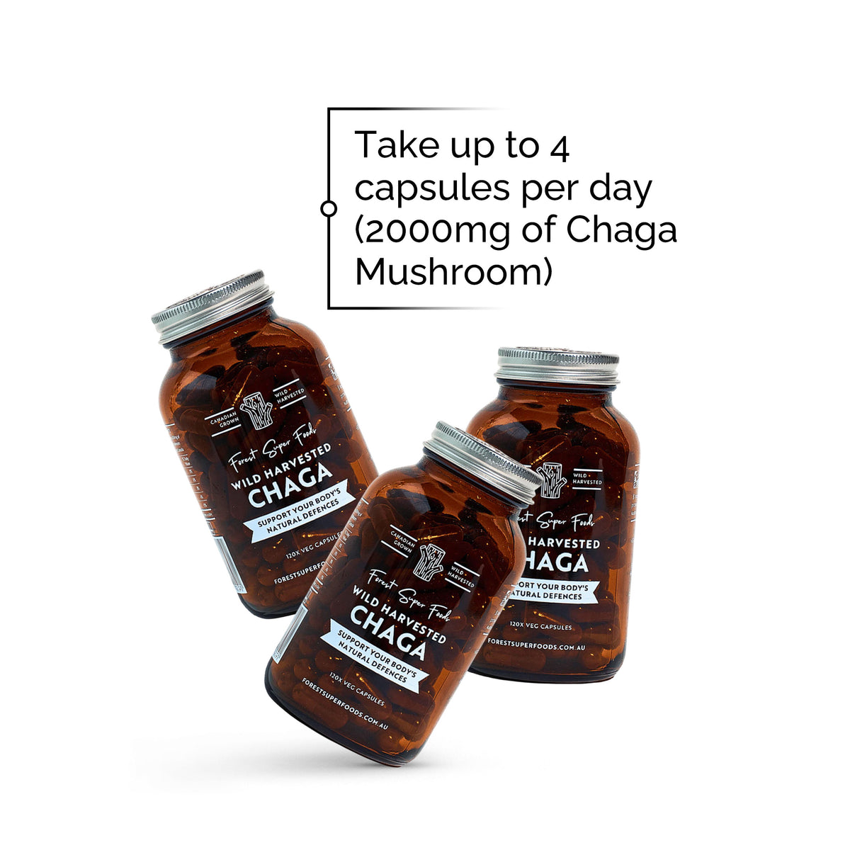 Wild Chaga Mushroom (Canada) amber bottles with premium capsules supporting natural immune and antioxidant defense