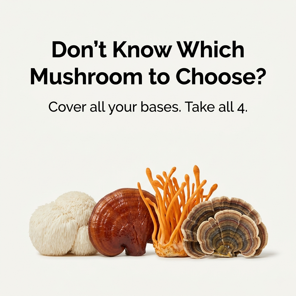 The Daily Mushroom Stack