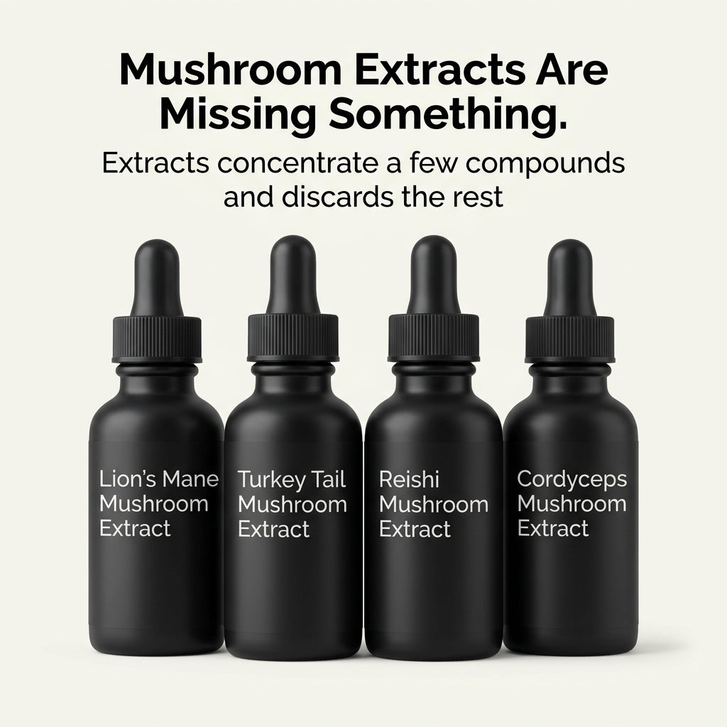 The Daily Mushroom Stack