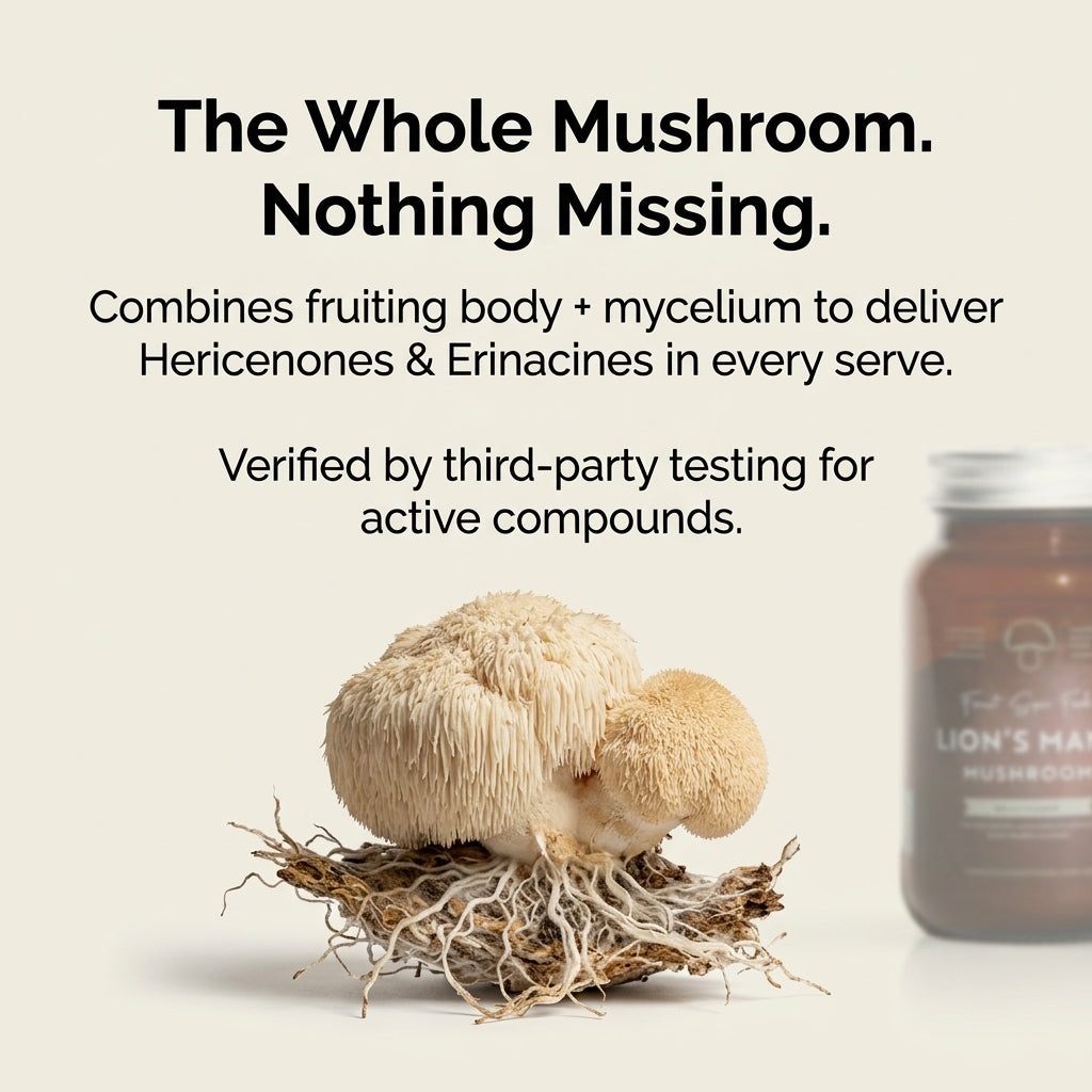 Australian Grown Lions Mane Powder