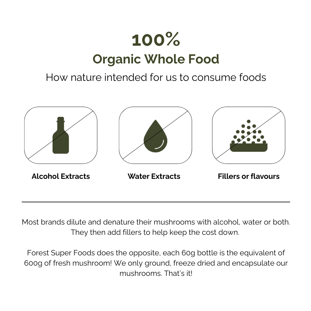 Forest Mushroom Blend Powder highlighting organic whole food, no alcohol or water extracts, no fillers or flavors policy